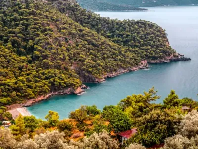 Kabak Koyu